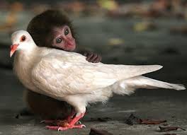 cute <3